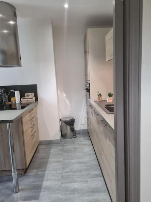 L'Ourse, Epinal,Tres Bel Appartement Quartier Port Exterior foto